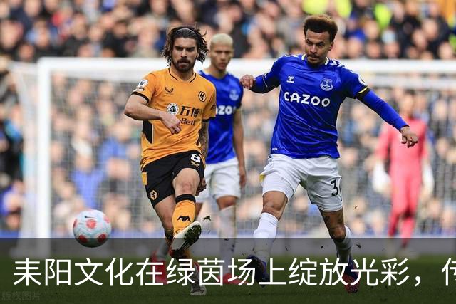 耒阳文化在绿茵场上绽放光彩，传承历史与活力的交融